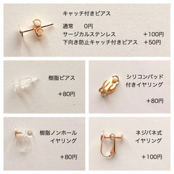 ［6pattern］drop rattan ×  color   pierce / earring 4枚目の画像