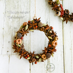 ユーカリとニュアンスカラースターチスのドライフラワーリース Lサイズ