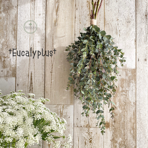 ドライフラワーリースユーカリリースドライフラワースワッグユーカリ