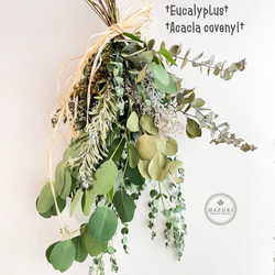 フレッシュグリーン　シック　オーバル　リース　ユーカリ　ドライフラワー　母の日 89dfe9c80ff9474c15a1bd71f7520f