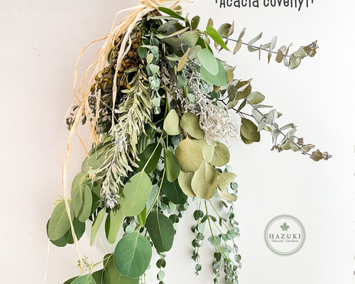 選べるリボン等、ラッピング☆ユーカリ（実付き）のクリスマス スワッグ 0_4f40a2f2580462bb487a7adf1fa3