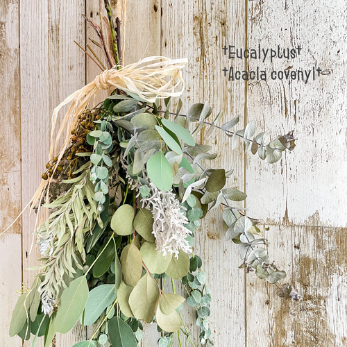 ベルギーナッツと青葛藤と枝ものを束ねた大きな　針葉樹のスワッグ　ドライフラワー ベルギーナッツと青葛藤と枝ものを束ねた大きな 針葉樹のスワッグ ドライ