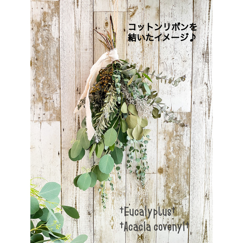 ☆リボン選べる♪ 60cm 大きいユーカリスワッグ ドライフラワー
