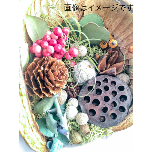 幸せを呼ぶ木の実♡ブッダナッツ♡碧 悪し 様専用ページ•*¨*•.¸♬︎