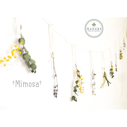 送料無料♪】ミモザのオーガニックコットン ドライフラワーガーランド