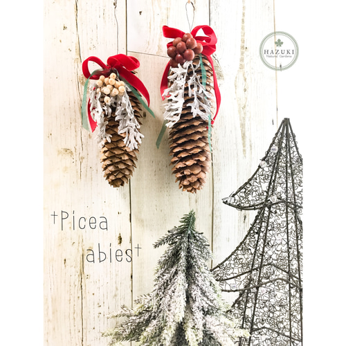 専用＊ドイツトウヒ＆ペッパーベリー ドライフラワースワッグ 【公式通販】