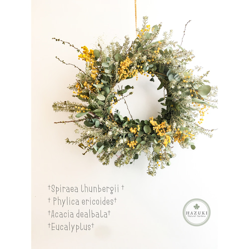 ミモザたっぷり⋆︎*ドライフラワー春リース たっぷりミモザの春リース☆ドライフラワーリース
