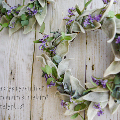 ナッツとベリーの木ノ実のリース☆ドライフラワーリース