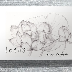 lotus wh a-radesign original(A3) 1枚目の画像