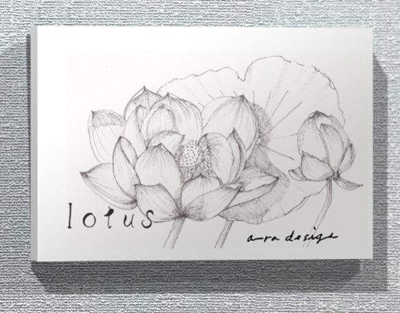 lotus wh a-radesign original(A3) 1枚目の画像