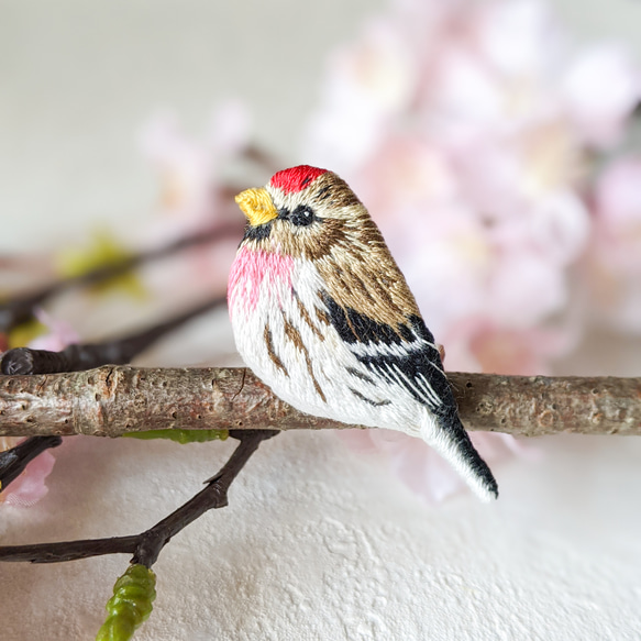春につけたい桜色】ベニヒワの刺繍ブローチ 鳥 ブローチ cancan 通販