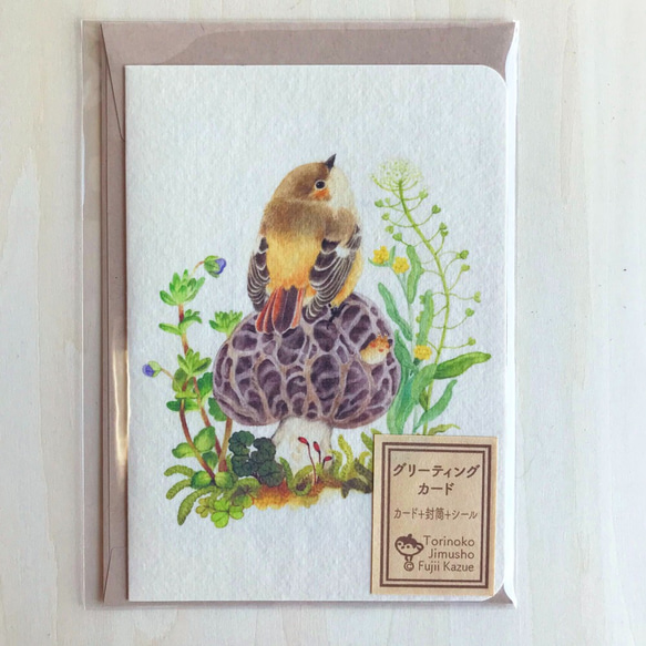 封筒リニューアル！ 野鳥とキノコのグリーティングカード（３種類入り） 3枚目の画像