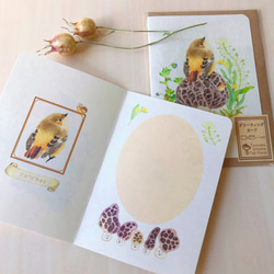 封筒リニューアル！ 野鳥とキノコのグリーティングカード（３種類入り） 4枚目の画像