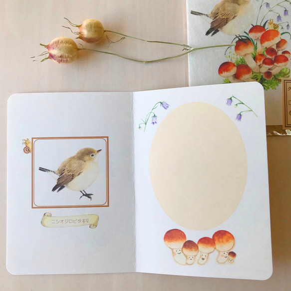 封筒リニューアル！ 野鳥とキノコのグリーティングカード（３種類入り） 8枚目の画像