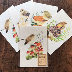 ポストカード『野鳥ヒタキ類』4枚セット 2枚目の画像