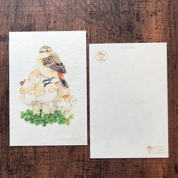 ポストカード『野鳥ヒタキ類』4枚セット 3枚目の画像