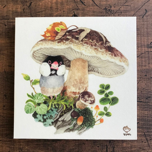 文鳥とキノコ」15x15cm パネル作品 絵画 ふじいかずえ ・とりのこ事務 