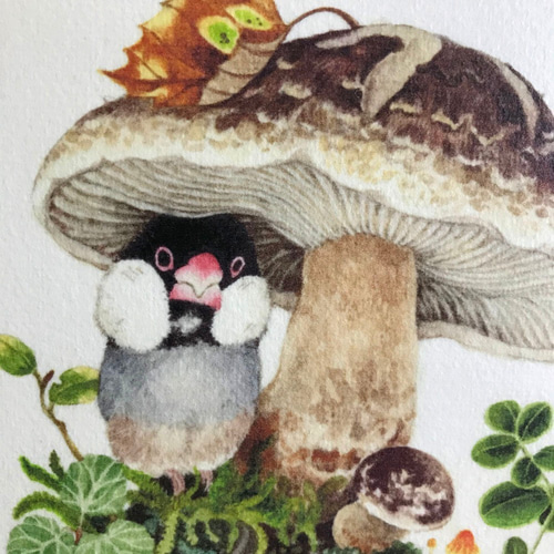 文鳥とキノコ」15x15cm パネル作品 絵画 ふじいかずえ ・とりのこ事務 