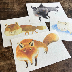 ポストカード『世界のキツネ』4種類セット イラスト ふじいかずえ