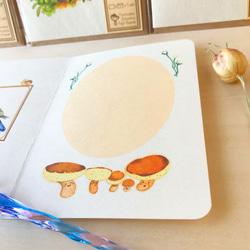 ルリビタキのグリーティングカード 6枚目の画像