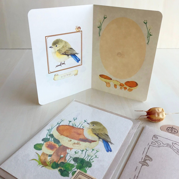 ルリビタキのグリーティングカード 7枚目の画像