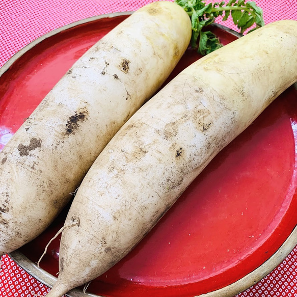 甘くて旨みがスゴイ！！アロハの寒味切り干し大根 2枚目の画像