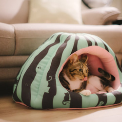 暖屋-西瓜 貓窩 寵物床 第1張的照片