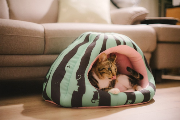 暖屋-西瓜 貓窩 寵物床 第1張的照片