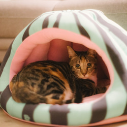 暖屋-西瓜 貓窩 寵物床 第5張的照片