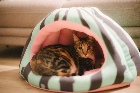 暖屋-西瓜 貓窩 寵物床 第5張的照片