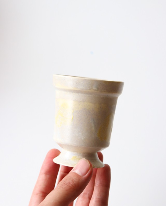 鍋杯（島黃）花盆 第2張的照片