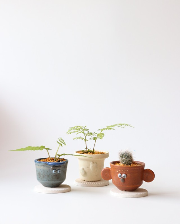 小さな植木鉢（ジョニーくん） 5枚目の画像
