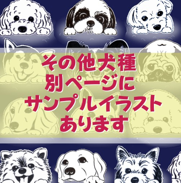 見つめるチワワ [他の犬種あります]　プレゼントにも☆ 9枚目の画像