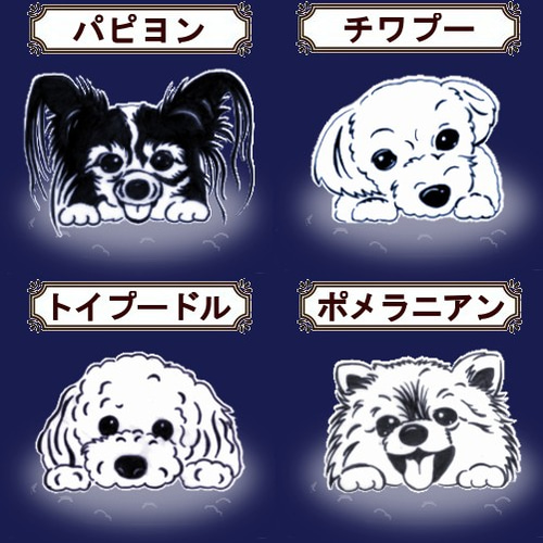 見つめるチワワ [他の犬種サンプルイラスト] グラス 雫色 通販