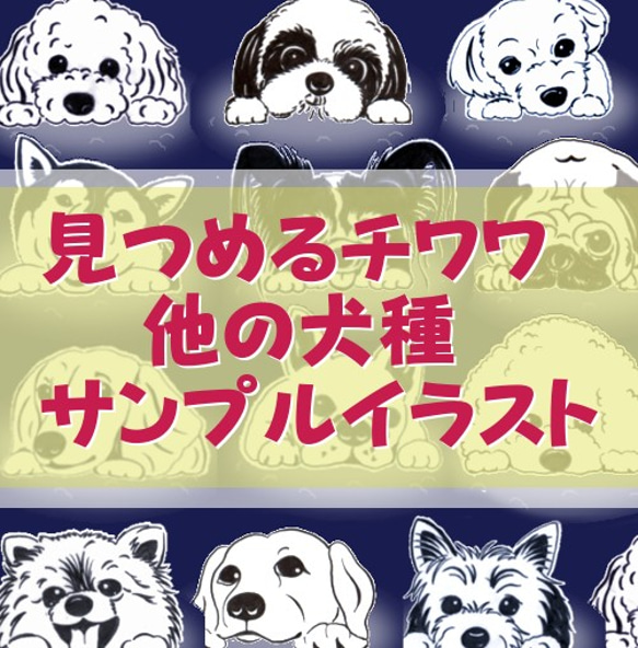 見つめるチワワ [他の犬種サンプルイラスト] グラス 雫色 通販