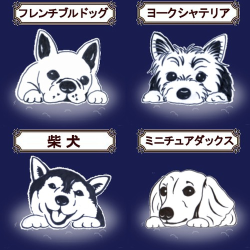 見つめるチワワ [他の犬種サンプルイラスト] グラス 雫色 通販
