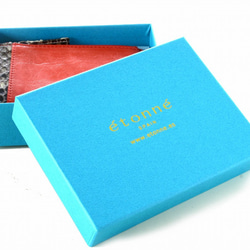 スペイン製パスケース 世界的一流ブランドを手掛ける職人が作る５ポケット本革パイソン (ターコイズブルー) 8枚目の画像