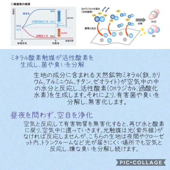 ★再販★ラスト1枚！プリーツ　白　マスク　★送料込み★制菌、抗菌＋抗ウイルス＋抗カビ生地使用★レディースマスク 8枚目の画像