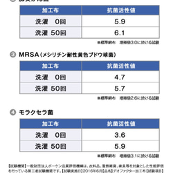 ★再販★ラスト1枚！プリーツ　白　マスク　★送料込み★制菌、抗菌＋抗ウイルス＋抗カビ生地使用★レディースマスク 9枚目の画像