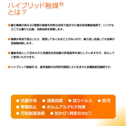 無地のみです★抗菌、防臭、抗ウイルス、帯電防止★ノーズワイヤー入りマスク　ベージュ　レディース 8枚目の画像