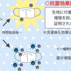  第8張的照片