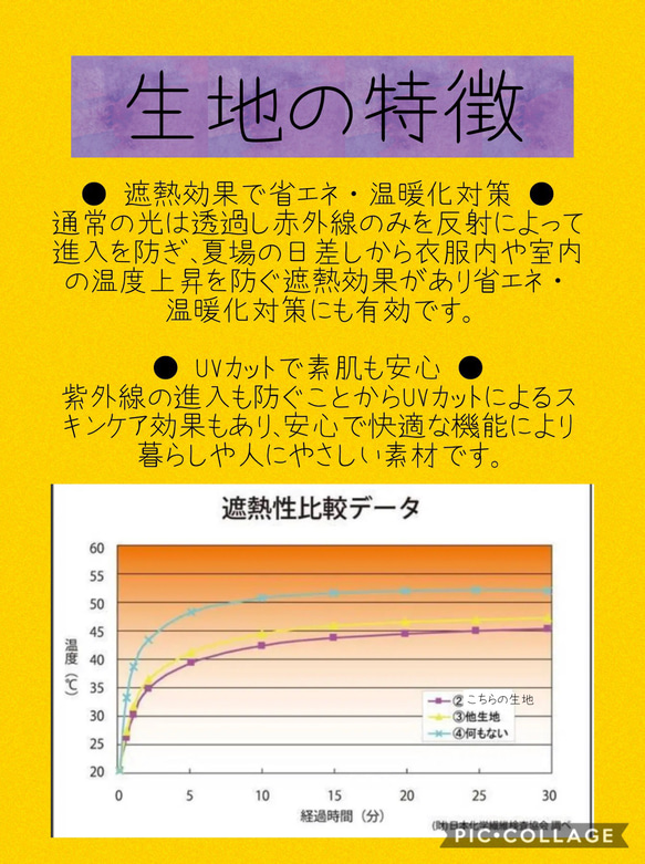  第5張的照片