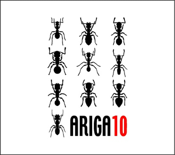 【おもしろT】ARIGA10 3枚目の画像