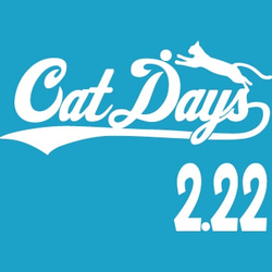 【ねこT】Cat Days 3枚目の画像