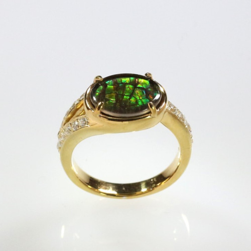 18金 アンモライト デザインリング 18金リング カナダ・コーライト社 アンモライト