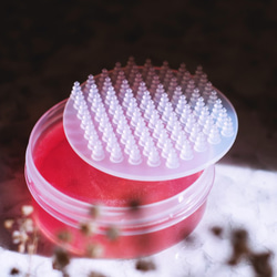 [Venudite Cosmetics] 玫瑰蜂蜜粉撲刷具清潔皂組 (附專利潔刷墊) 第6張的照片