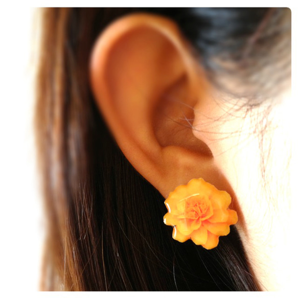 marigold pierce 3枚目の画像