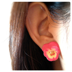 【再販】viola earring PY 3枚目の画像