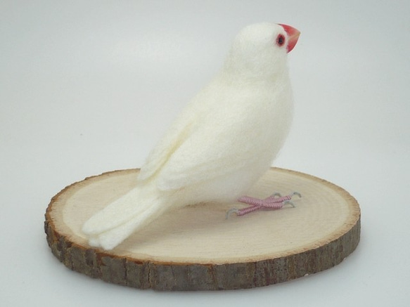 [Ｔ様専用] 白文鳥と桜文鳥 / 羊毛フェルト リアルサイズ 5枚目の画像