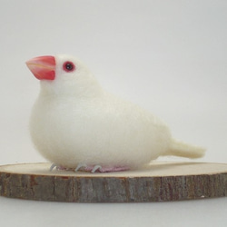 [Ｔ様専用] 白文鳥と桜文鳥 / 羊毛フェルト リアルサイズ 6枚目の画像